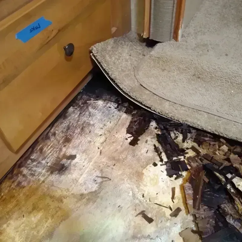 Wood Floor Water Damage in Linden, AZ